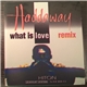 Haddaway - What Is Love Remix